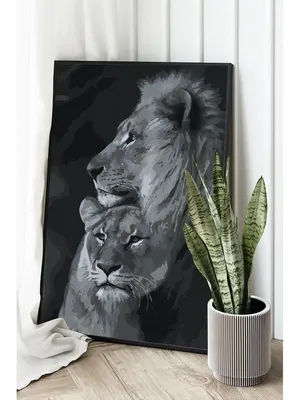 Белые южноафриканских лев и львица перед друг с другом Стоковое Изображение  - изображение насчитывающей бело, млекопитающее: 210225675