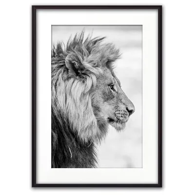 Картина на холсте для интерьера Львы, черно белый арт, лев и львица любовь  (2) 50х70 - купить по низкой цене в интернет-магазине OZON (955466564)