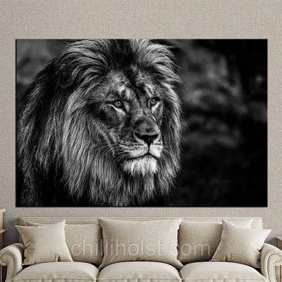 Чертеж льва Черное и белое, лев, белый, млекопитающее, животные png |  PNGWing
