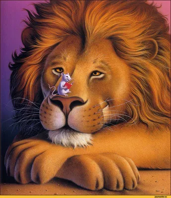 Лев прикольный рисунок - 70 фото