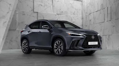 2022 Lexus NX: Job Nicely Done - The Car Guide