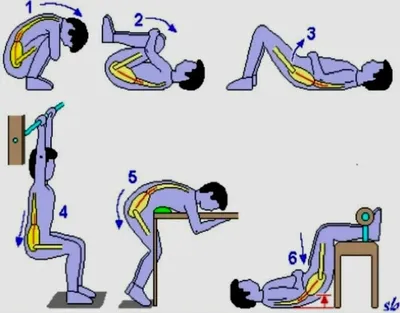 МПрОП - 🇷🇺Уфимский филиал. Тренировка мышц спины. | Facebook