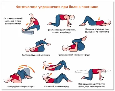 Лечебная гимнастика при остеохондрозе поясничного отдела позвоночника |  Упражнения, Гимнастика, Еженедельные планы тренировок