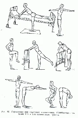Комплекс полезных упражнений для укрепления мышц спины