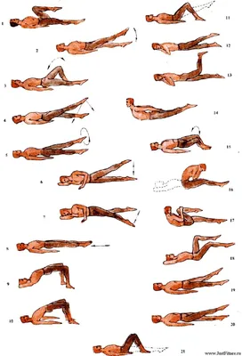 Комплекс упражнений, направленный на укрепление мышц спины и улучшение  подвижности позвоночника. Добавл… | Упражнения, Мышцы спины, Упражнения для  укрепления спины