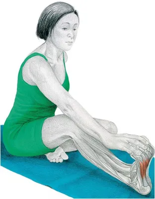Непрерывный рисунок одной линии женщины, выполняющей упражнения по йоге  векторная иллюстрация минимализм спортивный дизайн темы Иллюстрация вектора  - иллюстрации насчитывающей каракули, красивейшее: 164449536