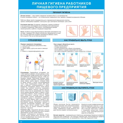 Кластер для детей дошкольного возраста по теме «Правила личной гигиены» (1  фото). Воспитателям детских садов, школьным учителям и педагогам - Маам.ру