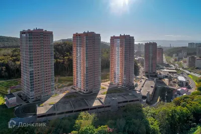 Лидер картинка 74 фото