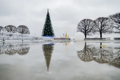 Рисунки на тему зима легкие - 57 фото