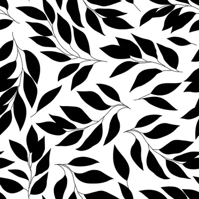 Фотообои Черно-белые листья купить в Москве, Арт. 10-761 в  интернет-магазине, цены в Мастерфресок