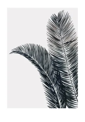 Штапель вискозный (черно-белые листья в листьях) (008060) – купить в Вашем  городе по цене 1100 р. руб. в интернет-магазине art-fabric.ru