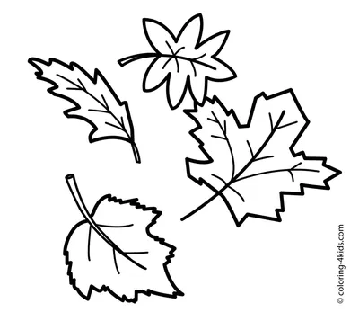 32751 обои панно New Spirit Marburg Schoner Wohnen II черно-белые графика  листья цветы 53см (ID#1421423951), цена: 3162 ₴, купить на Prom.ua