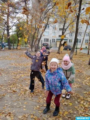 осенний листопад повторяющаяся текстура, повторяющий, бесшовные,  редактируемые фон картинки и Фото для бесплатной загрузки