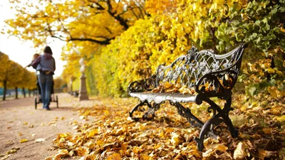 Осенний листопад фотореализм» — создано в Шедевруме