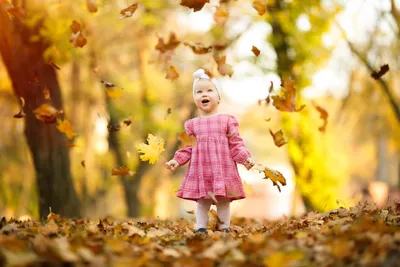 Осенний листопад :: Елена Рябчевская – Социальная сеть ФотоКто