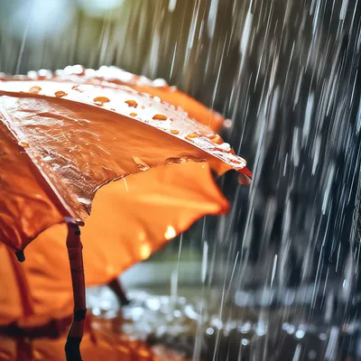 люблю дождь #видеоцитаты #цитаты #дождь #осень | Instagram
