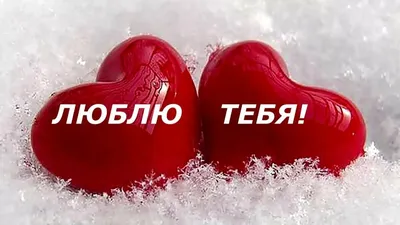 Открытка \"Я тебе люблю\", 10х15 см купить в Киеве: цена, заказ, доставка |  Магазин «Камелия»