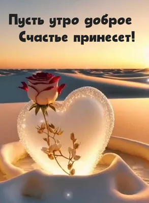 Доброе Утро Моя Любовь и Мое Солнышко ♥♥♥!!! | Александр Антонов | Дзен