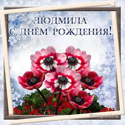 Людмила! С днём рождения! Красивая открытка для Людмилы! Открытка с  цветными воздушными шарами, ягодным тортом и букетом нежно-розовых роз.