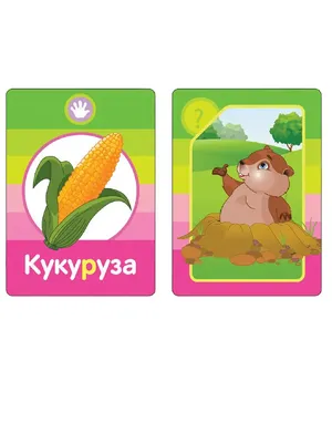 Логопедические тесты (2-3 года) - Русские книги для детей - Happy Universe