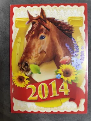Турция 1 лира 2014 год. Лошадь.