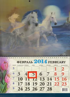 Иллюстрация 4 из 9 для Календарь на 2014 год \"Год лошади. Лошадь на фоне  гор\". Магнитный (