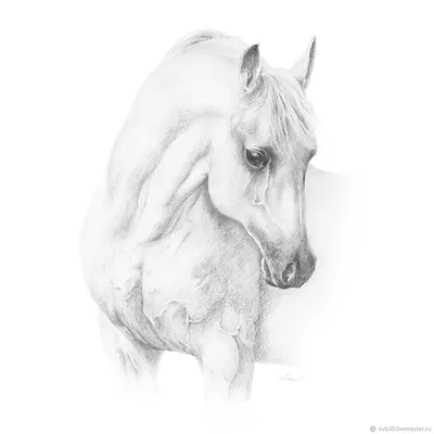 Черно белая лошадь в разноцветном …» — создано в Шедевруме