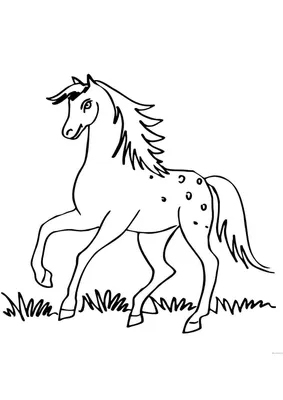 Лошадь Татуировка Чернобелый — стоковая векторная графика и другие  изображения на тему Лошадь - Лошадь, Мустанг, Аборигенная культура - iStock