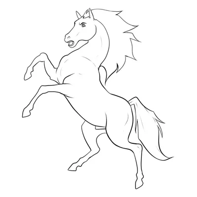 Monochrome изображение, черно-белая лошадь на белой предпосылке Иллюстрация  штока - иллюстрации насчитывающей бело, художничества: 152327786