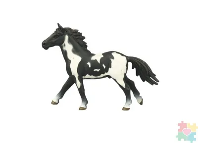 Лошадь черно-белое арт | Премиум векторы