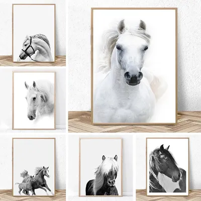 GX1802 черно-белая лошадь, Классические животные, Картина на холсте,  искусство на стене, фото для гостиной, домашний декор | AliExpress