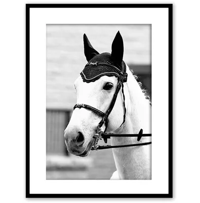 Купить Современная минималистская картина маслом на холсте, черно-белая,  серая, черная лошадь, белая лошадь, крыльцо, лошадь, плакат, украшение  дома, живопись | Joom