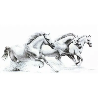 Картина на дереве черно-белая 80х120 см \"Белая лошадь 2\" - купить за 13990  руб в интернет-магазине DG-Home