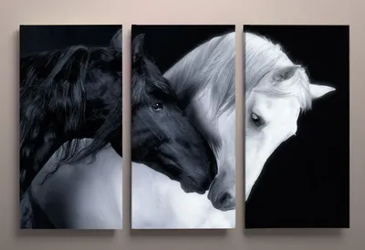 Постер в рамке Белая лошадь 2 30х40 см 645747 – купить по цене 2 700 ₽ в  Москве в интернет-магазине ogogo.ru