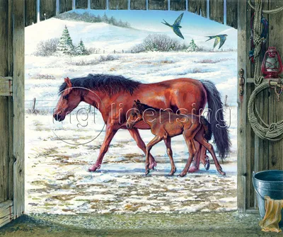 Фигурки Schleich Набор Horse Club Care лошадь + жеребенок 42432/природа/  игрушки для детей/ купить в Москве | Доставка по России.