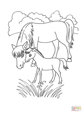 Паремо Фигурки животных серии \"Мир лошадей\": Ганноверская лошадь и жеребенок  (набор из 2 фигурок и ограждение) купить в Ставрополе