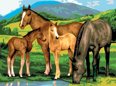 Лошадь на ферме Животные Для детей Детская Для девочек Для мальчика  Маленькие Простые Раскраска картина по номерам на холсте AAAA-MA797 —  купить в интернет-магазине по низкой цене на Яндекс Маркете