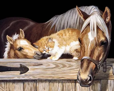 Паремо Фигурки животных серии \"Мир лошадей\": Авелинская лошадь и жеребенок  (набор из 2 фигурок и ограждение) купить в Ставрополе