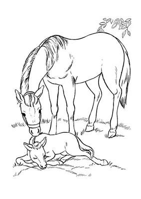 Набор фигурок «Лошадь и жеребенок» цена | pigu.lt