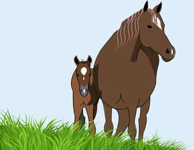 Мультфильм ковбой лошадь - изолированные - иллюстрация для детей Стоковая  иллюстрация ©illustrator_hft #135991014