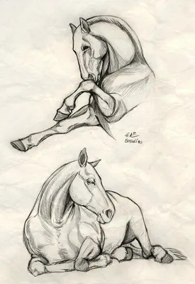 рисунок скаковой лошади которую спускают вниз, рисунок лошади, лошадь,  Рисование фон картинки и Фото для бесплатной загрузки