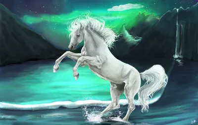 Белая лошадь на дыбах - красивые фото