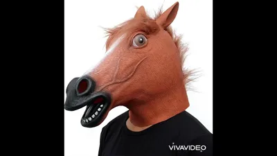 Лошадь с открытым ртом рисунок - 68 фото