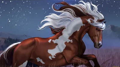 Лошадь Пони Россия Аниме Арт, конь, лошадь, животные, лошадь Tack png |  PNGWing