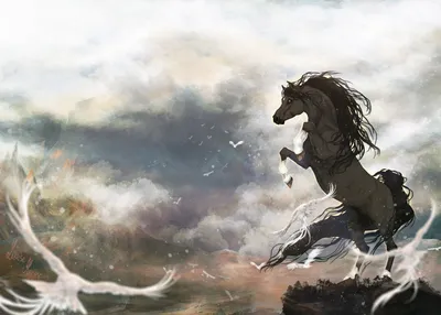 Лошадки Мультфильм, сезон 1, серия 18 Чудо на лугу под лунным светом |  Лошадки / Страна лошадей - YouTube