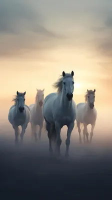Умные и преданные\" лошади - развенчиваем мифы | Природа Рядом | Дзен