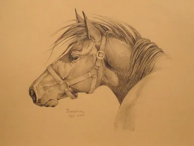 Лошади - Demiart