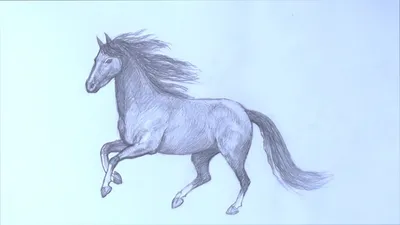 Нарисованные лошади - красивые фото