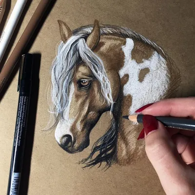 Голова лошади рисунок карандашом профиль (41 фото) - drawpics.ru