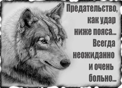 Это так просто… и прочая ложь. Автобиография басиста Guns N Roses (Дафф  Маккаган) - купить книгу с доставкой в интернет-магазине «Читай-город».  ISBN: 978-5-04-171258-7